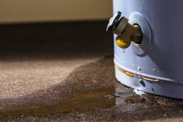 Best Sewage cleanup and water damage restoration  in Connersville, IN