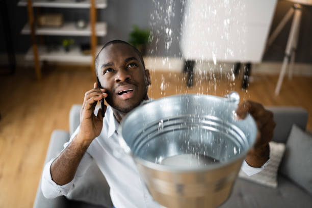 Best Carpet water damage restoration  in Connersville, IN
