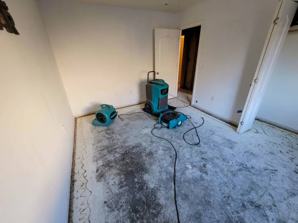 Professional Water damage restoration in IN