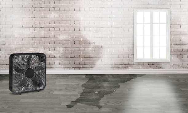 Best Ceiling water damage repair  in Connersville, IN