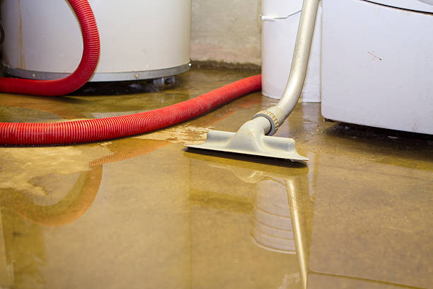 Best Flooded house restoration  in Connersville, IN