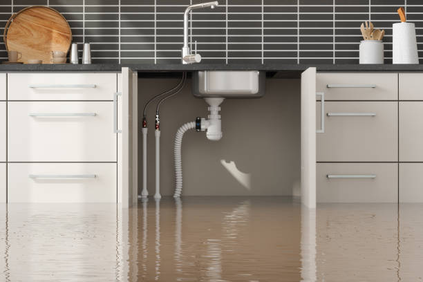 Best Water damage restoration near me  in Connersville, IN
