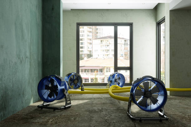 Best Emergency water damage restoration  in Connersville, IN