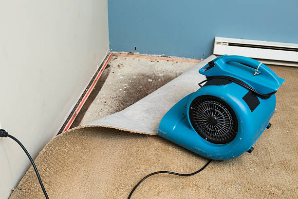 Best Fire Damage Restoration  in Connersville, IN